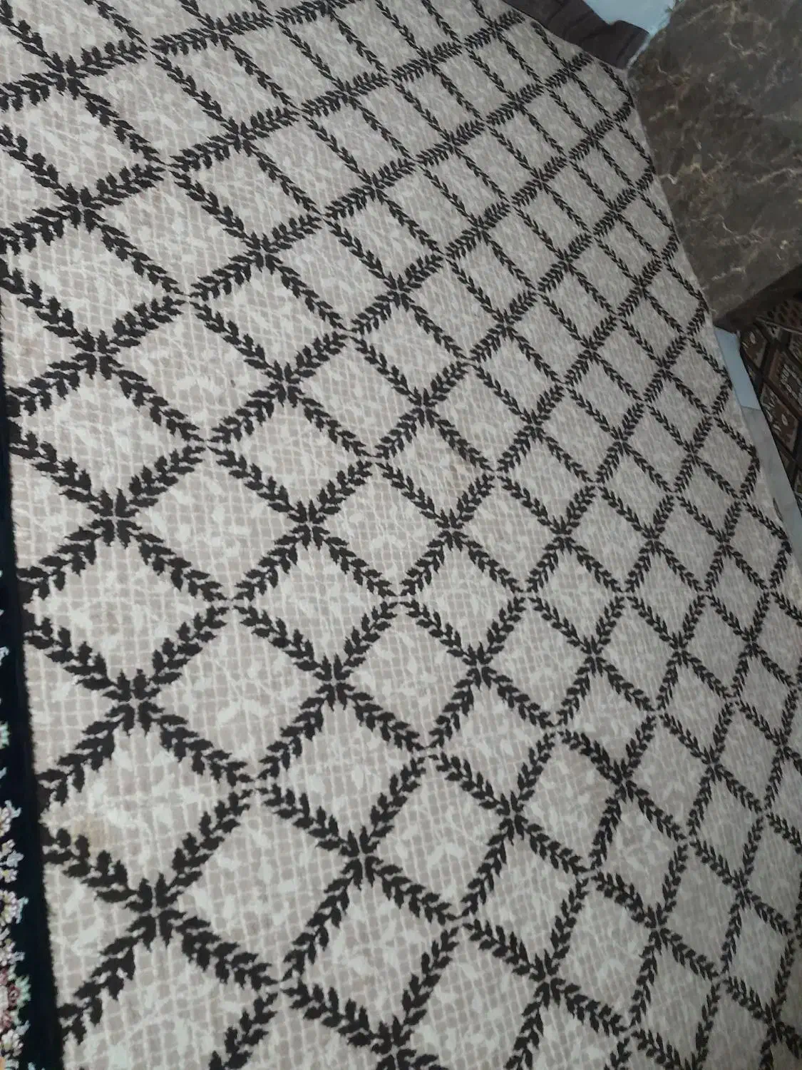 پالاز موکت|موکت|مریوان, |دیوار