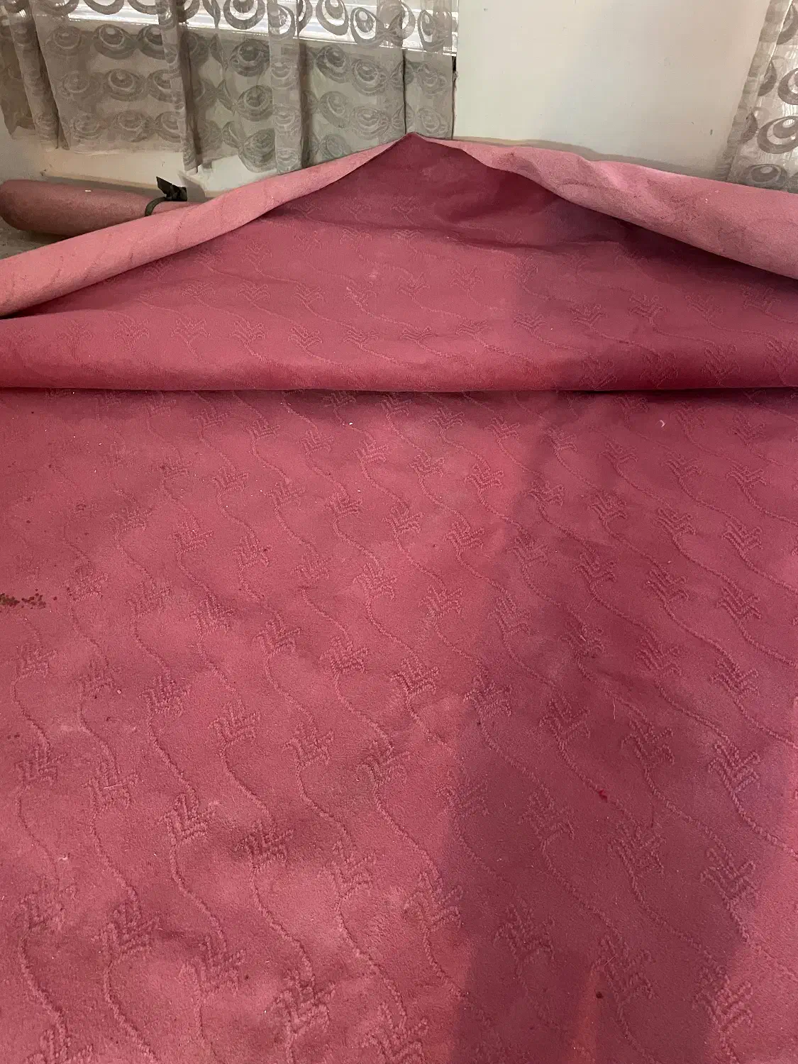 موکت|موکت|نیشابور, هفده شهریور|دیوار