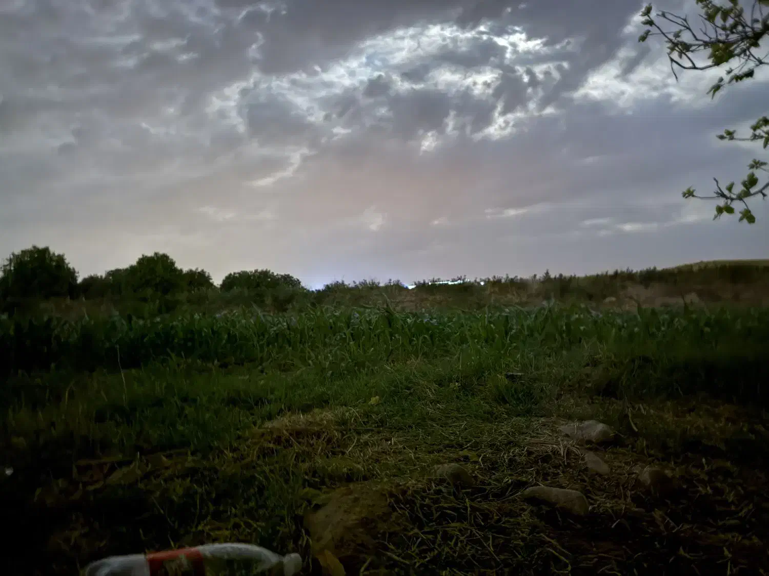 زمین کشاورزی|فروش دفتر صنعتی، کشاورزی، تجاری|زرنه, |دیوار