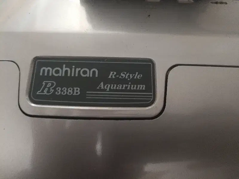 آکواریوم|ماهی|رشت, احمد گوراب|دیوار