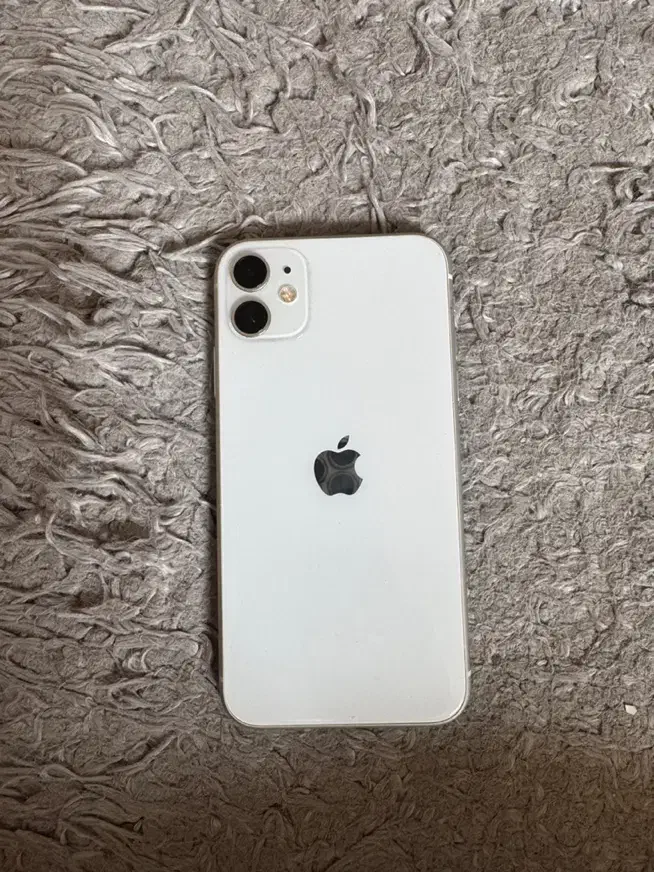 فروش ایفون ۱۱ نرمال|موبایل|قم, آذر (نکویی)|دیوار