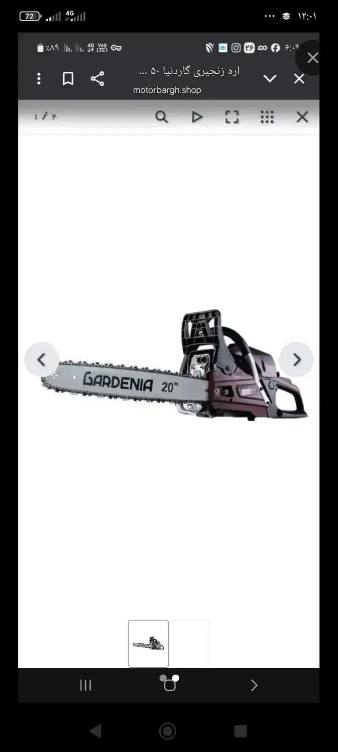 برش درخت در باغات حتی یک درخت|خدمات باغبانی و درختکاری|انزل, |دیوار