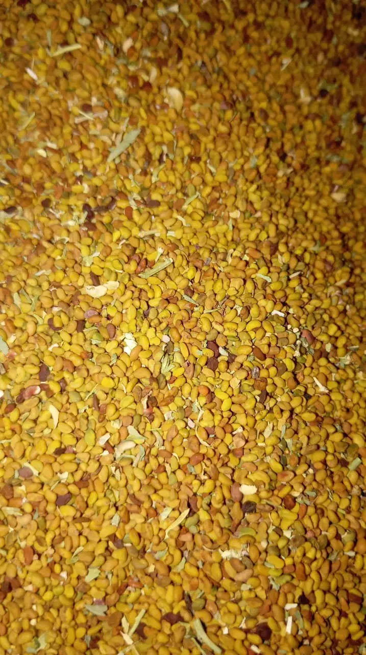 بذر علف|گل و گیاه طبیعی|ایرانشهر, |دیوار