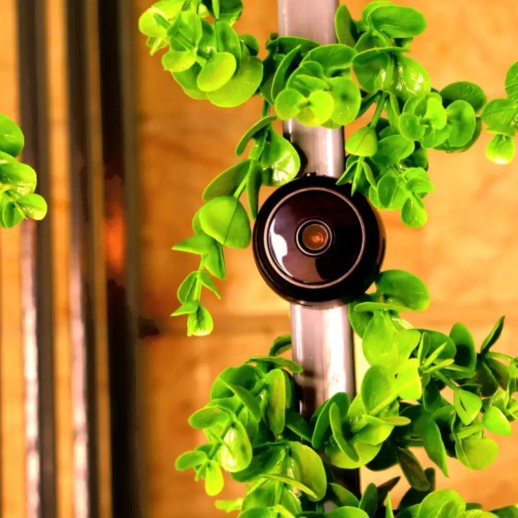 نگهبان شارژی خونت/دوربین شارژی مدل Voltix/بیسیم|خدمات پیشه و مهارت|نیشابور, باغ نو|دیوار