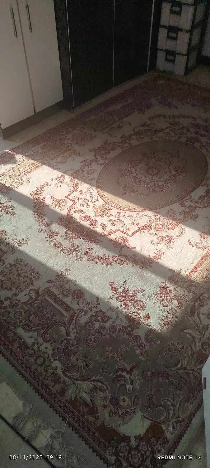 دو عدد قالی|فرش|اهواز, زردشت|دیوار