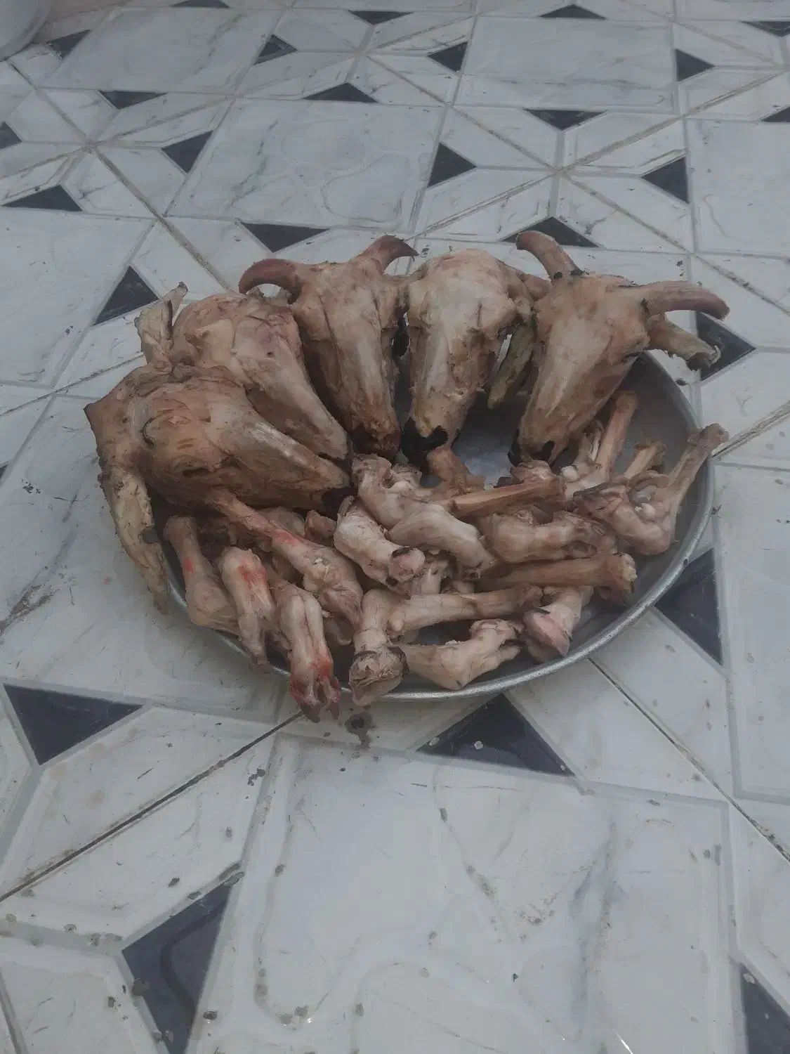 کله پاچه بره ۵۰۰ هزار تومان|خوردنی و آشامیدنی|خرمشهر, |دیوار