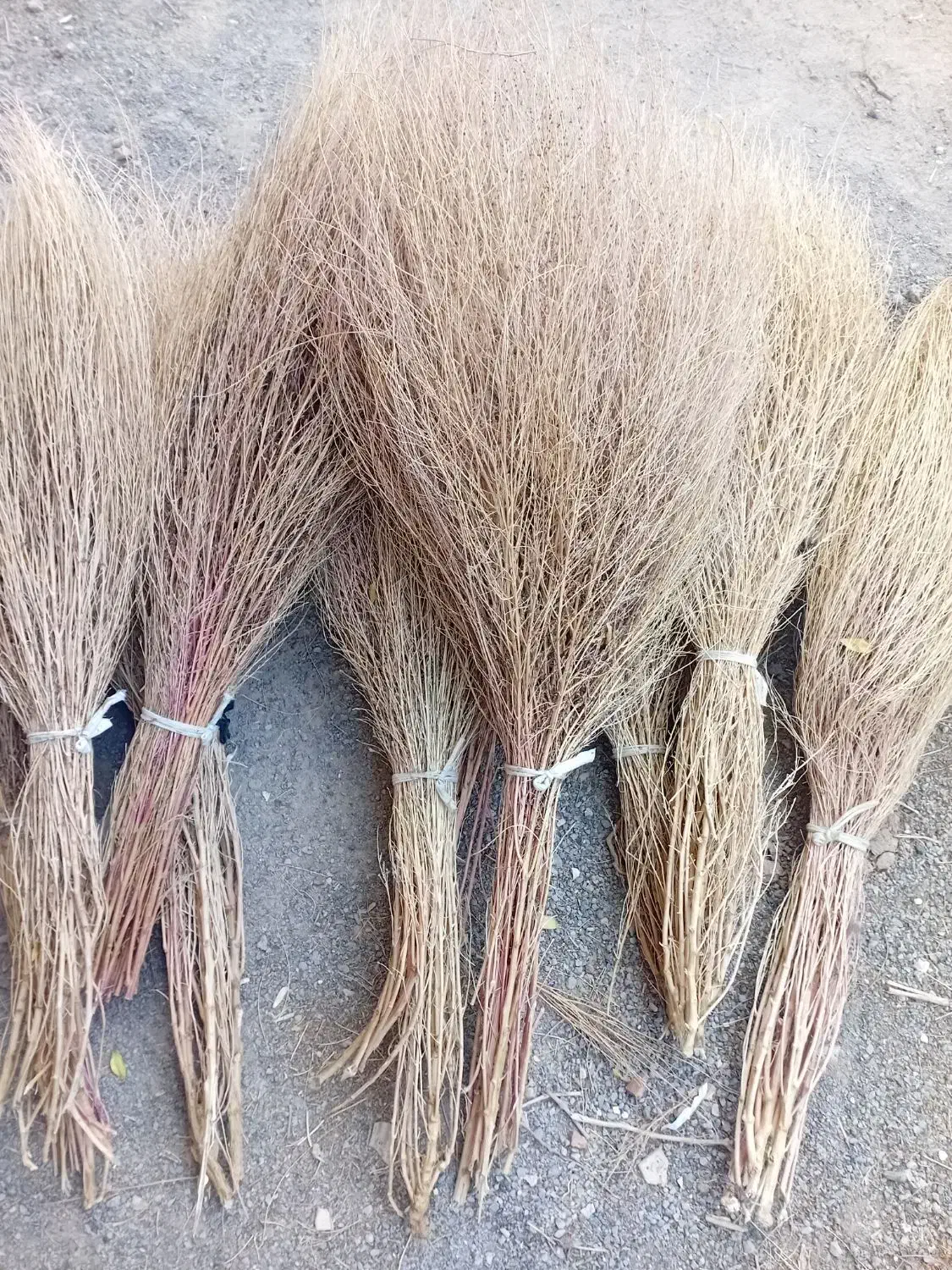 جارو کشمونی بزرگ وکوچک|لوازم نظافت|سربیشه, |دیوار