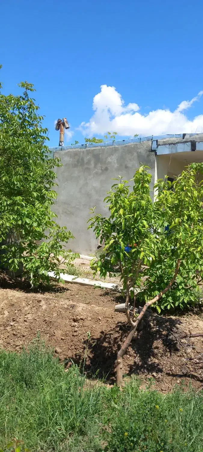 باغچه بادرختان الوان|فروش زمین و ملک کلنگی|انزل, |دیوار