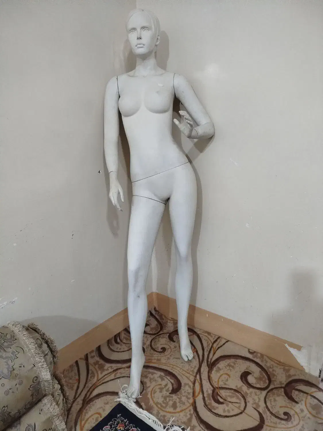 مانکن زنانه|فروشگاه و مغازه|دوگنبدان, |دیوار