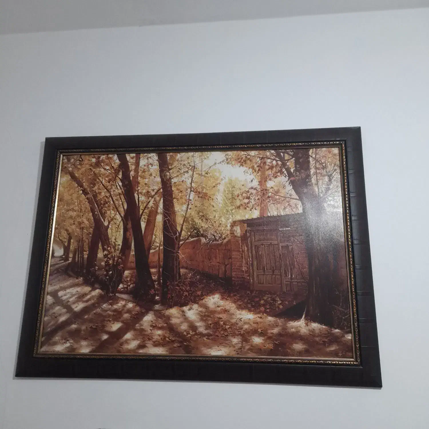 تابلو|تابلو، نقاشی، عکس|میاندوآب, |دیوار