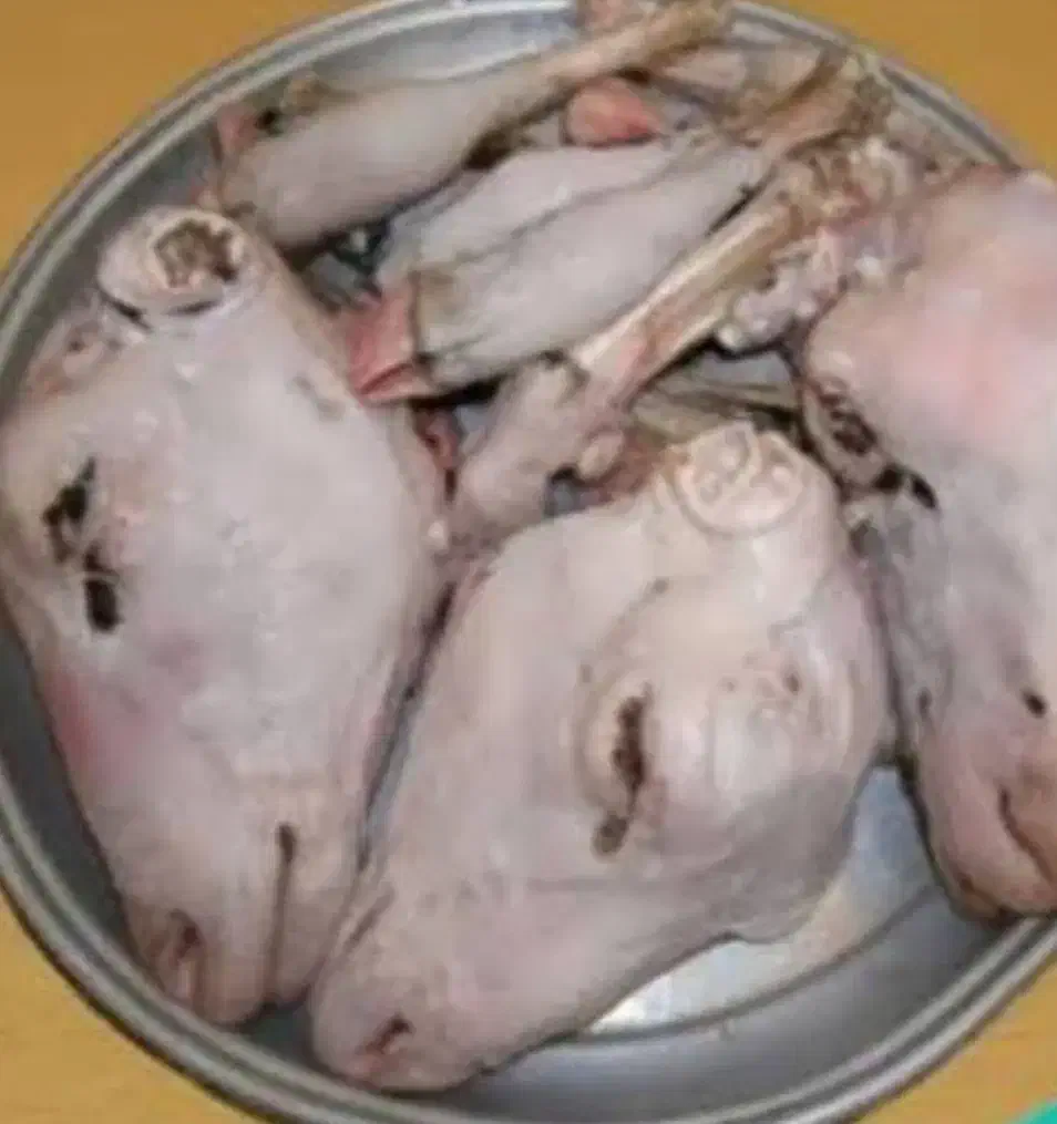 کله پاچه|خوردنی و آشامیدنی|نیشابور, مازول|دیوار