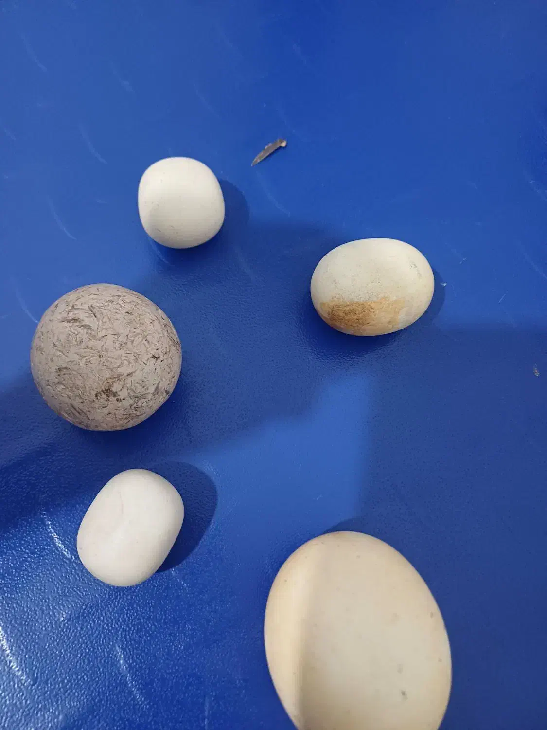 سنگ الماس اسیاب|کلکسیون اشیاء عتیقه|رفسنجان, |دیوار