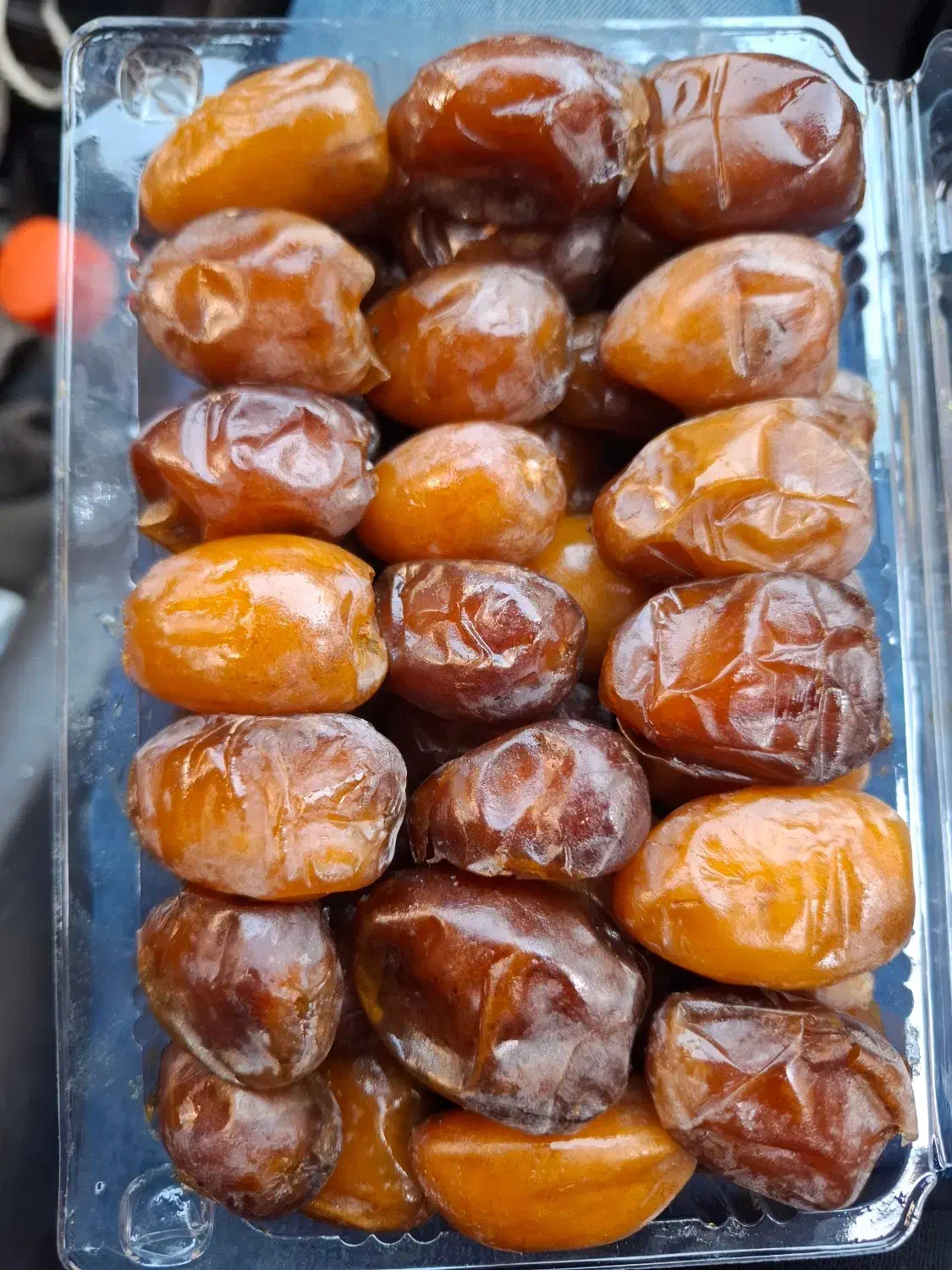 خرما کبکاب|خوردنی و آشامیدنی|مشهد, فتح المبین|دیوار