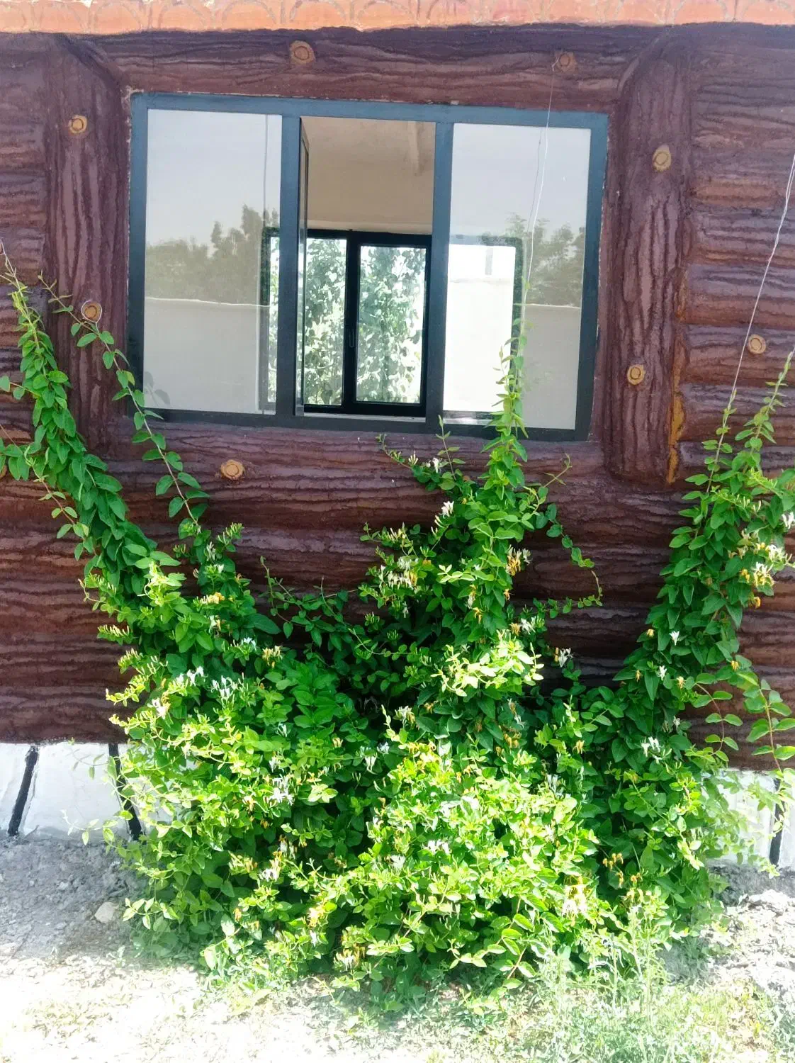 کاریابی و هم کاری|استخدام خدمات فروشگاه و رستوران|کوهدشت, |دیوار