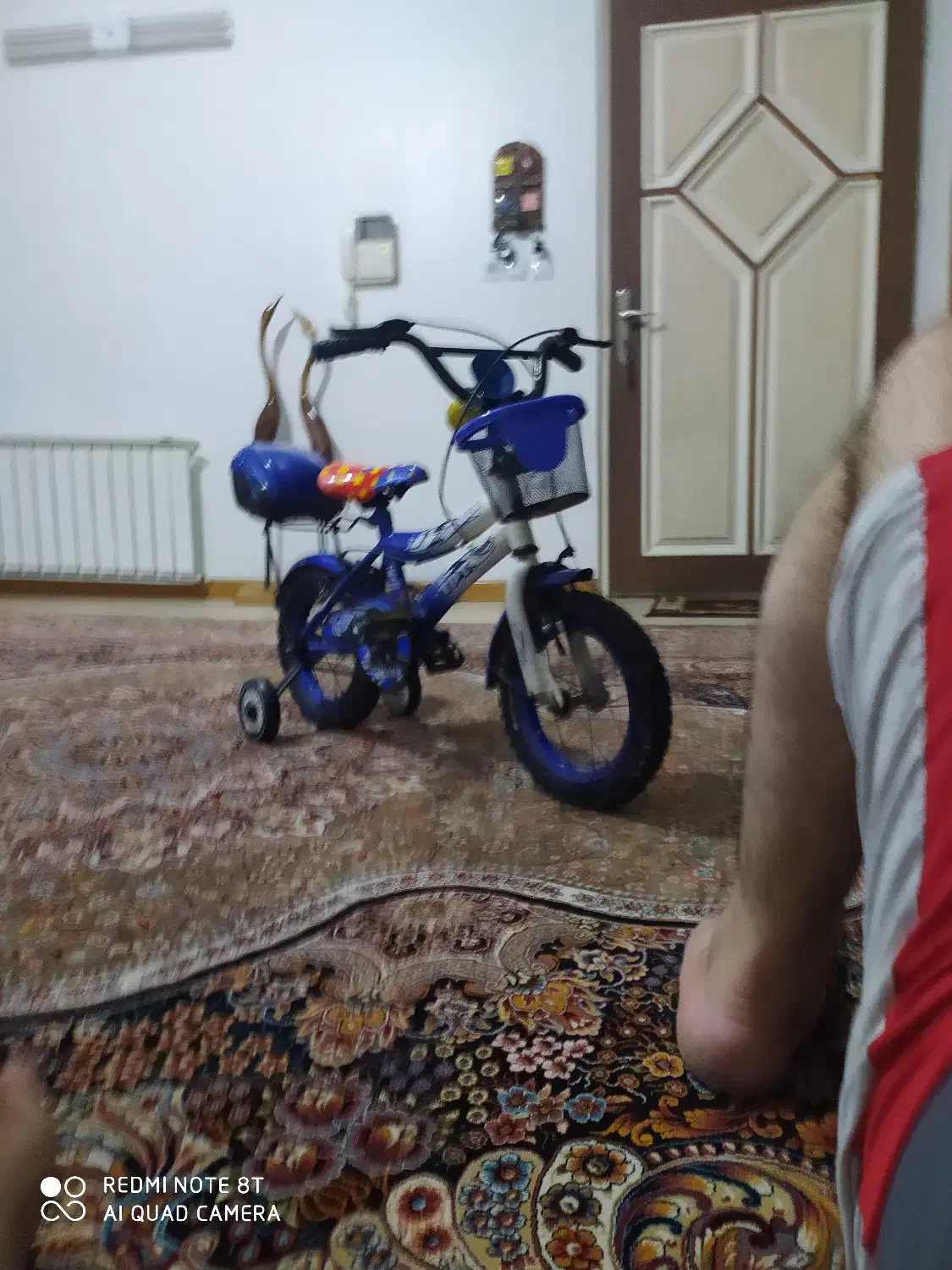 دوچرخه|دوچرخه، اسکیت، اسکوتر|بابل, |دیوار