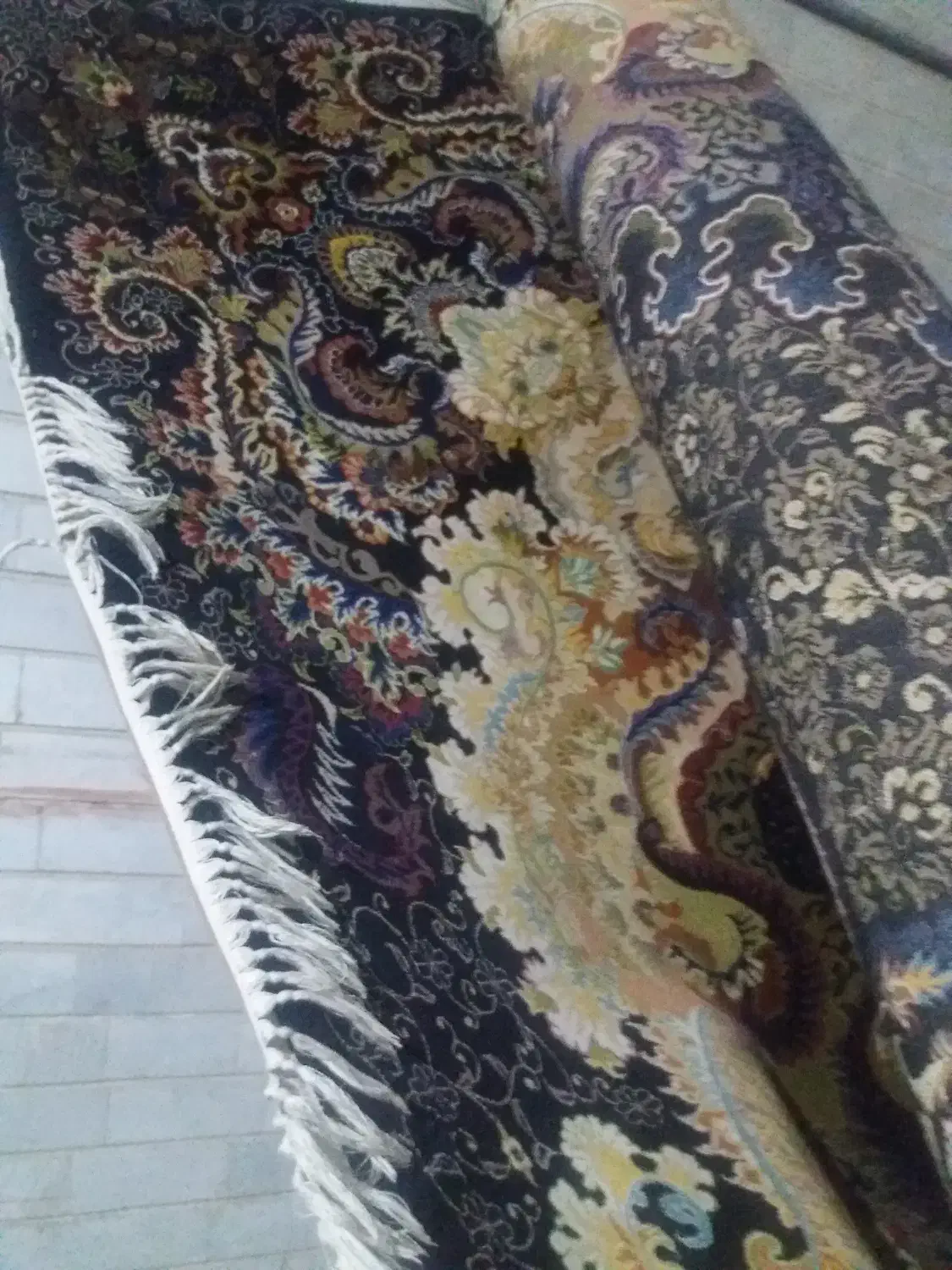 فرش ۱۵۰۰ شانه|فرش|گرگان, |دیوار