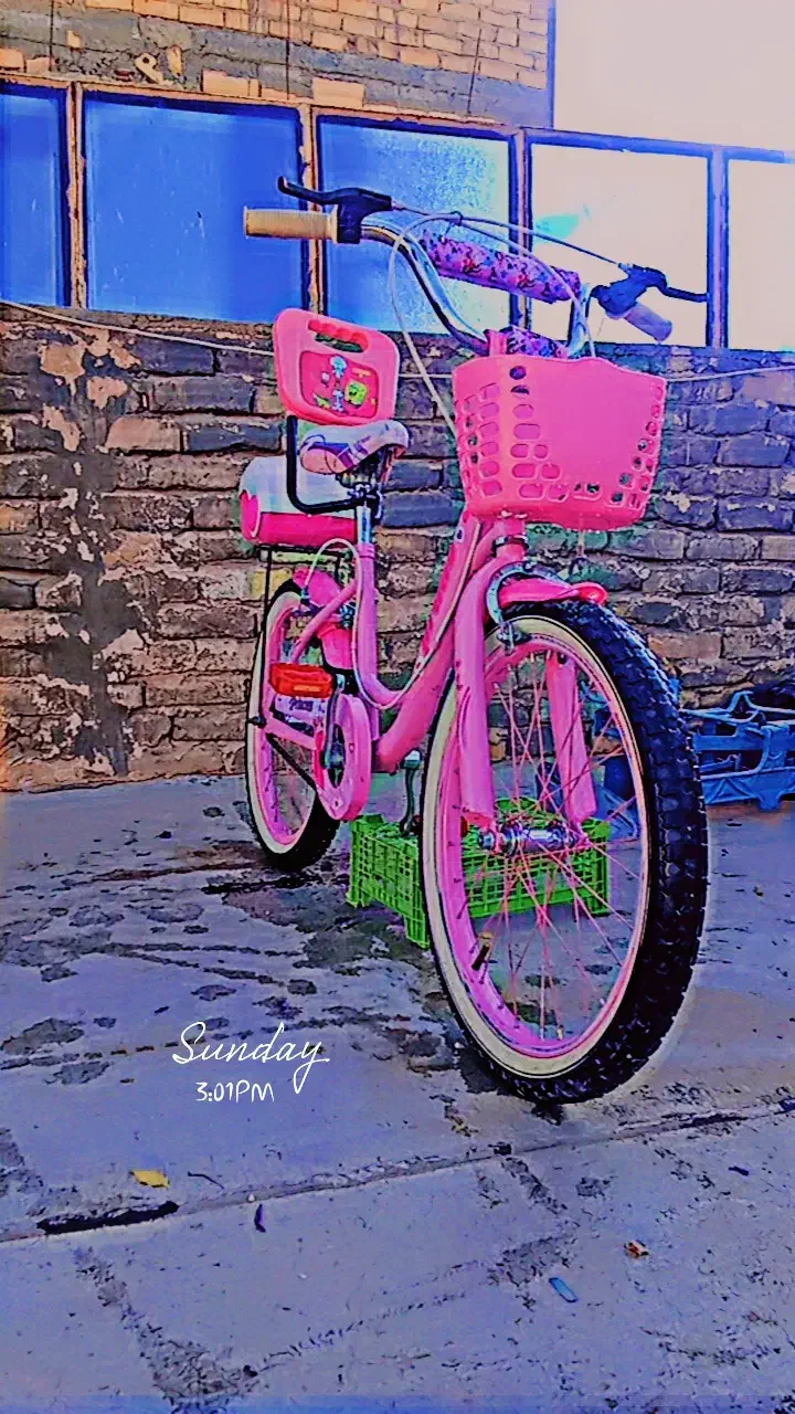 دوچرخه 20 دخترانه صورتی|دوچرخه، اسکیت، اسکوتر|تربت‌حیدریه, کلاته توکلی|دیوار