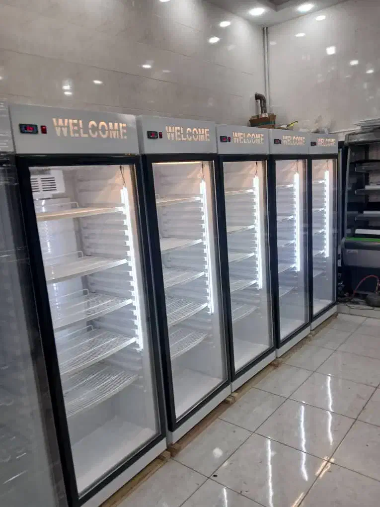 فروش یخچال فریزر  ایستاده تک درب ویترینی|فروشگاه و مغازه|سنندج, |دیوار