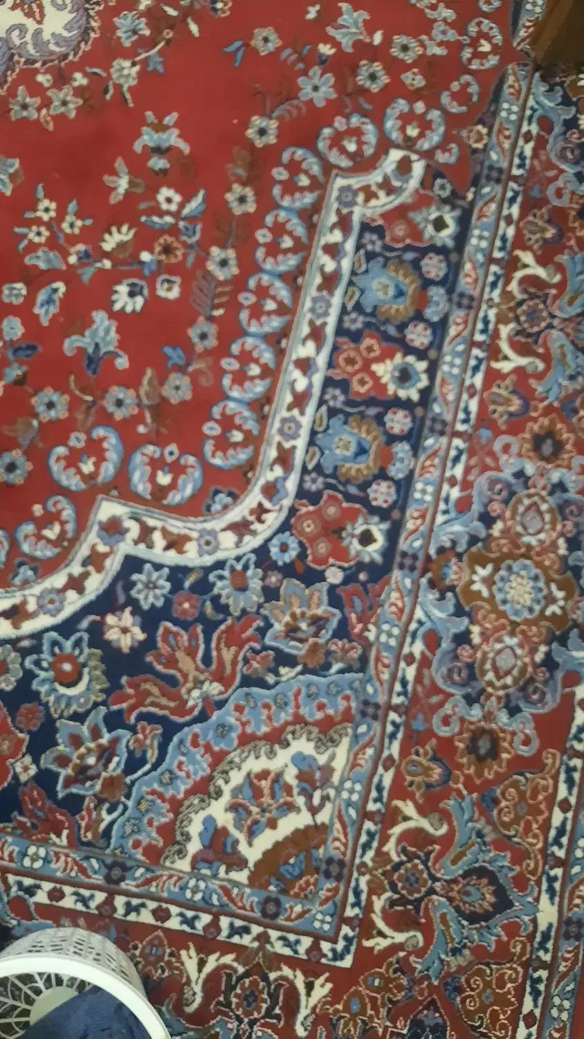 فرش ۱۲ متری|فرش|گرگان, |دیوار