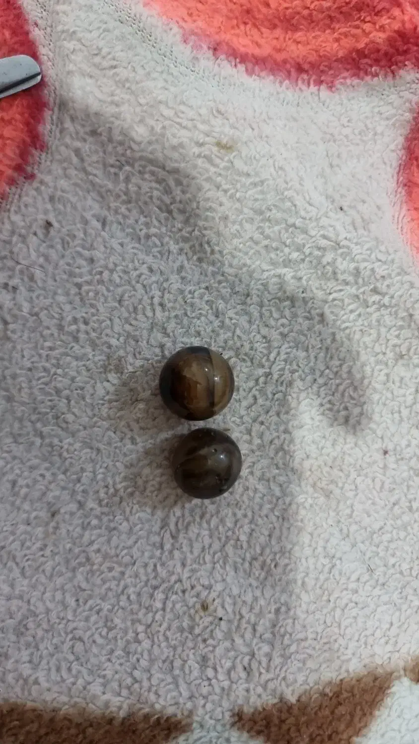 مهره|ساعت|شادگان, |دیوار