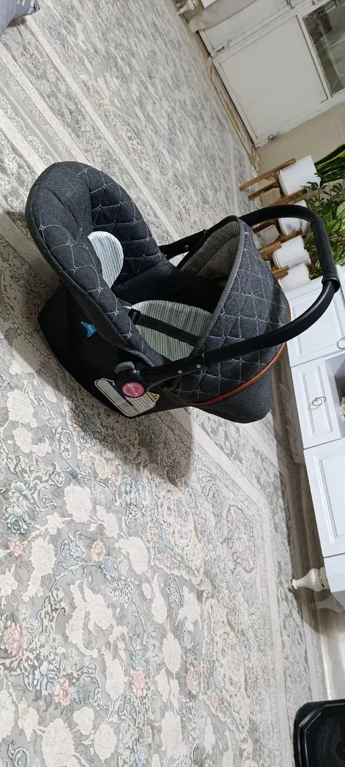 کریر|کالسکه و لوازم جانبی|کاشمر, |دیوار