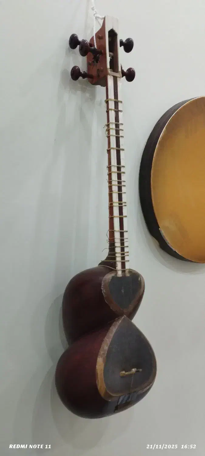 تار خوش صدا|سازهای سنتی|کاشمر, |دیوار