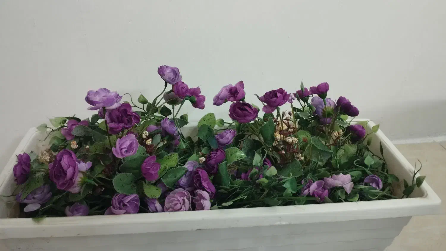 گل طبیعی و گلدان و پایه گل|گل و گیاه طبیعی|مشهد, هنرور|دیوار