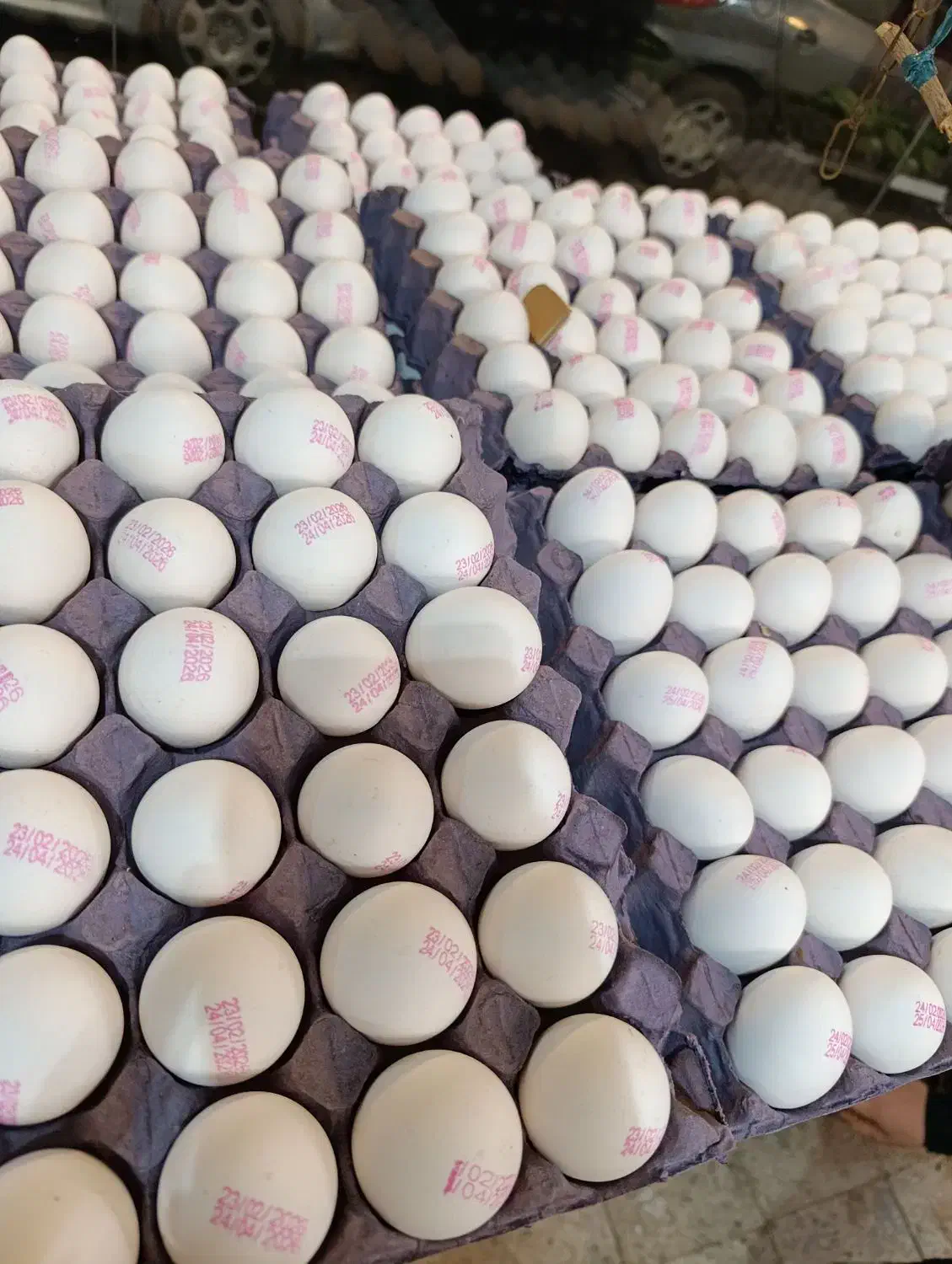 تخم مرغ مارک دارصادراتی|عمده‌فروشی|مشهد, ابوذر|دیوار