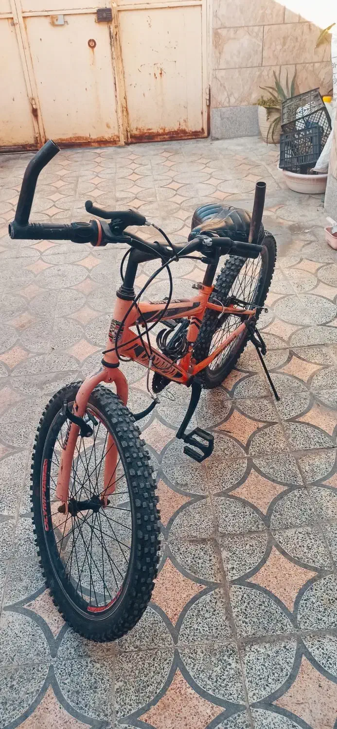 دوچرخه المپیا|دوچرخه، اسکیت، اسکوتر|دوگنبدان, |دیوار