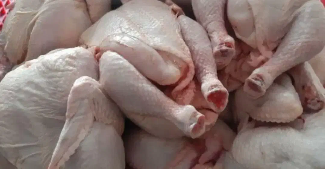 پخش مرغ قطعه بندی مرغ|خوردنی و آشامیدنی|رشت, فلسطین|دیوار