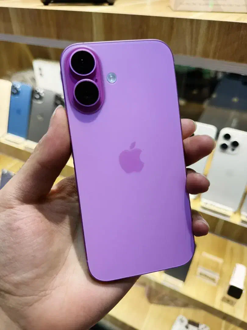 اپل iPhone 16 با حافظهٔ ۲۵۶ گیگابایت|موبایل|فردیس, فردیس|دیوار