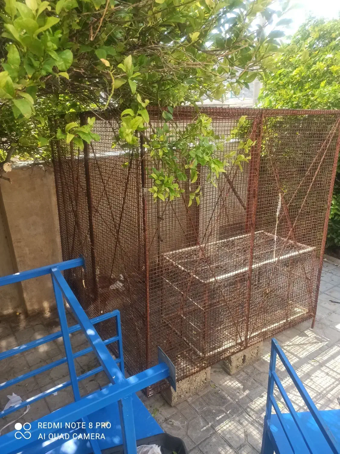 قفس گنجه 2در2|پرنده|شیراز, گلشن|دیوار