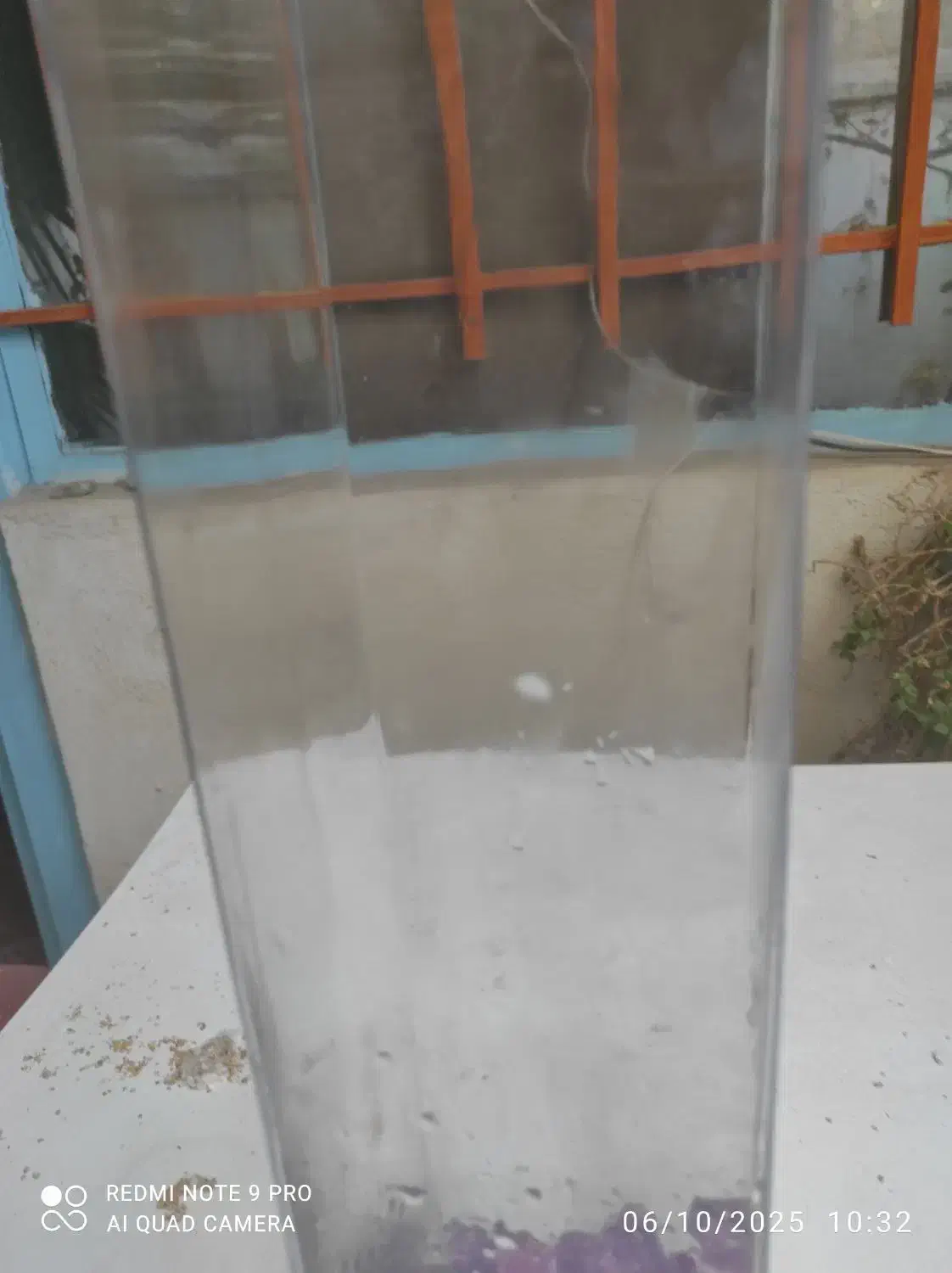 اکواریوم ستونی|ماهی|باغستان, |دیوار