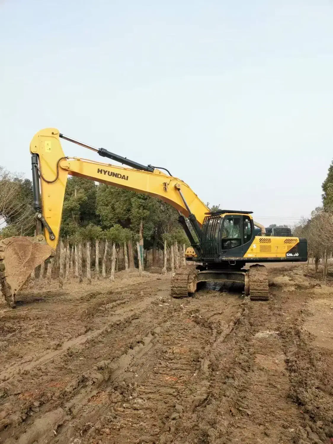 واردات مستقیم بیل مکانیکی|خودرو سنگین|تهران, الهیه|دیوار