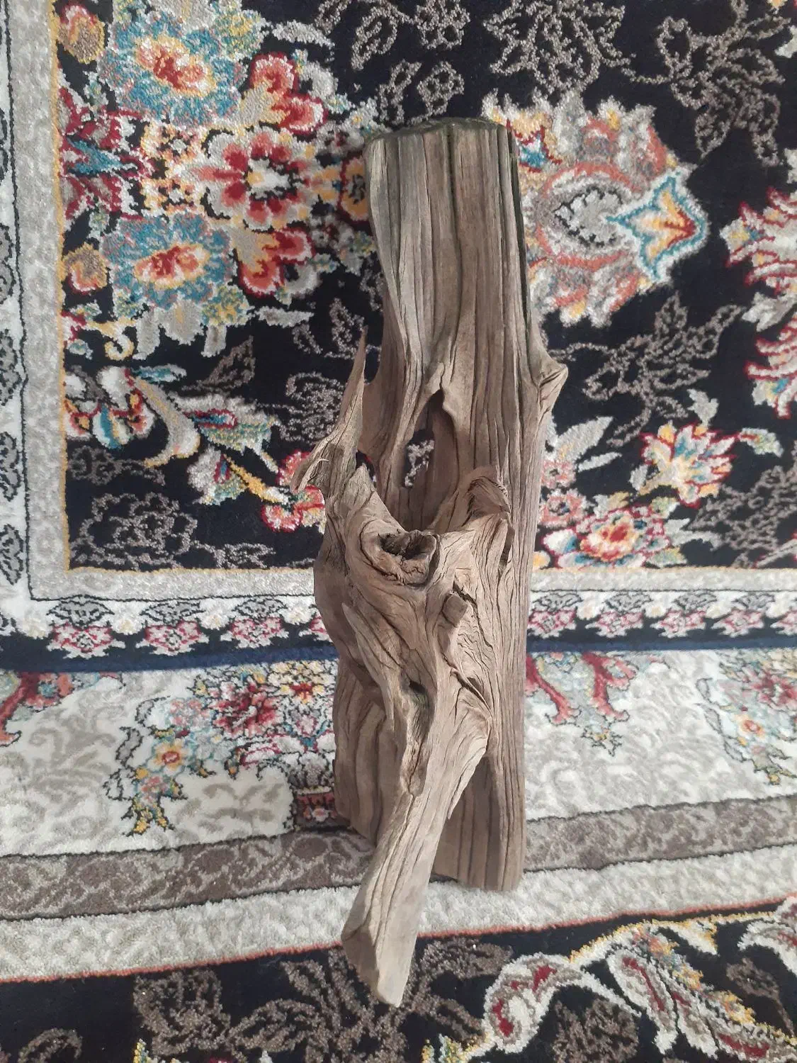 چوب ابنوس|ماهی|تالش, هشتپر|دیوار