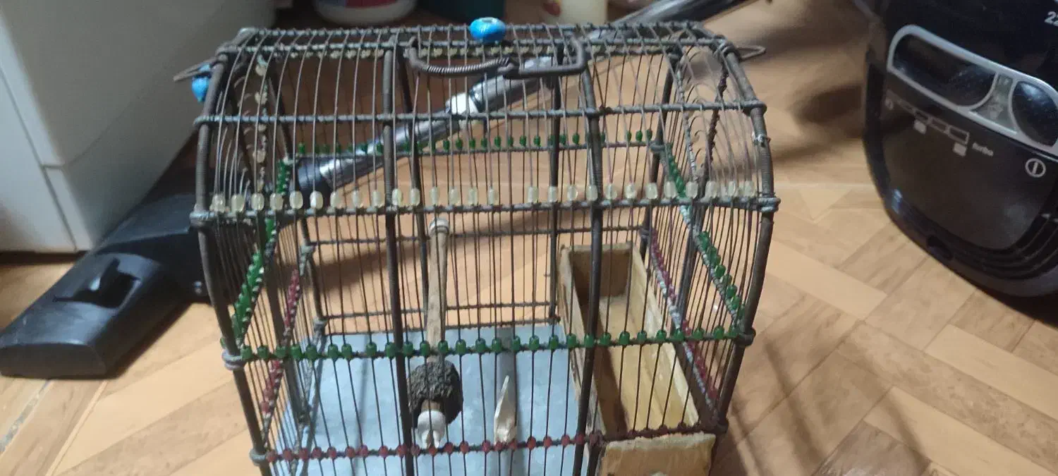 قفس سهره|لوازم جانبی حیوانات|ری, فیروزآبادی|دیوار
