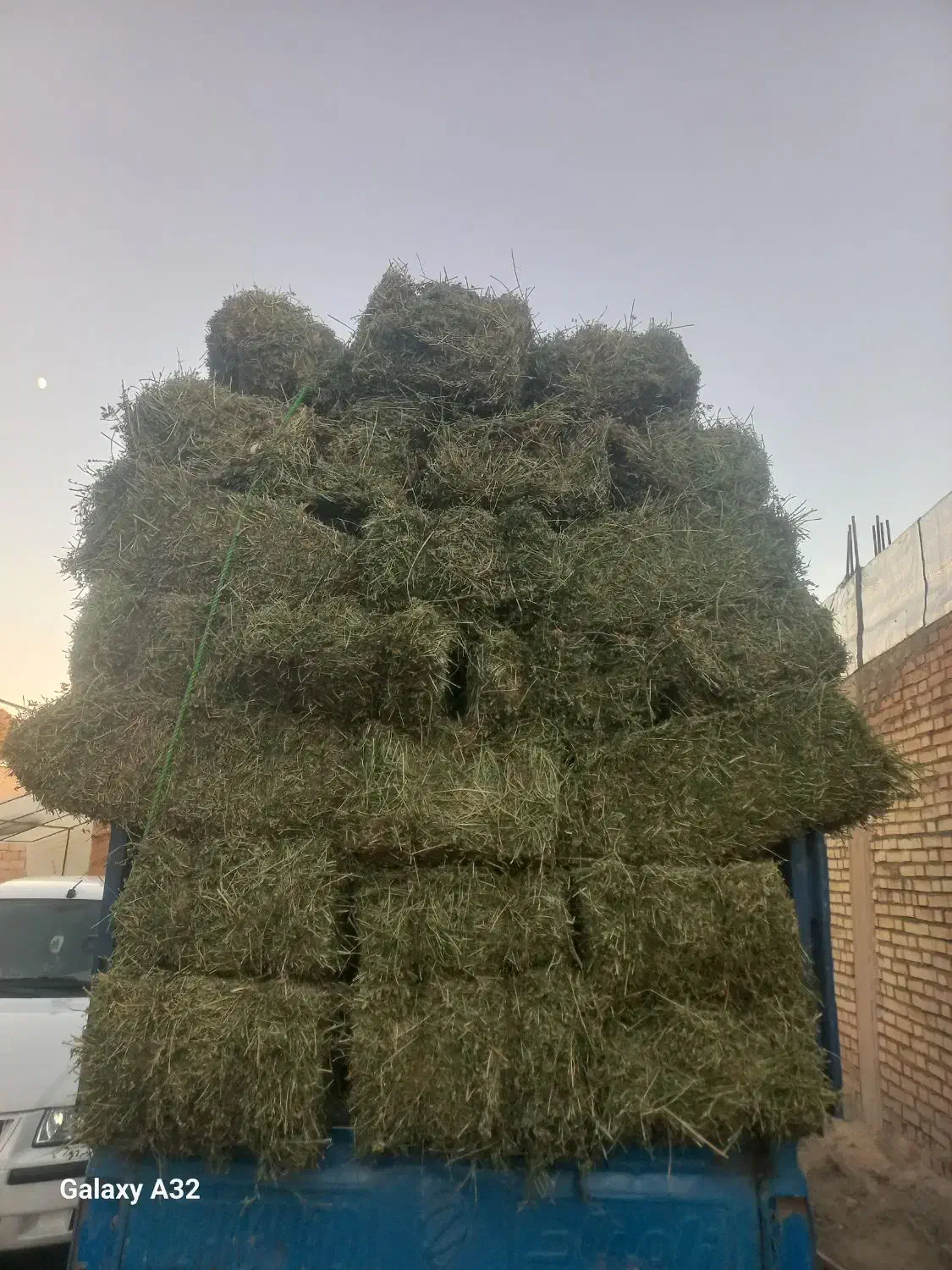 یونجه پرگل|لوازم جانبی حیوانات|نظر کهریزی, |دیوار