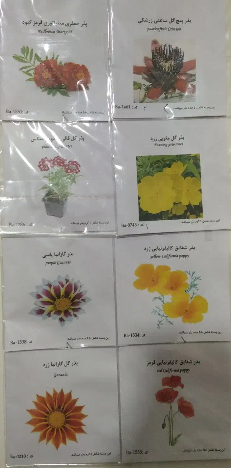 بذر گل|گل و گیاه طبیعی|سمنان, |دیوار