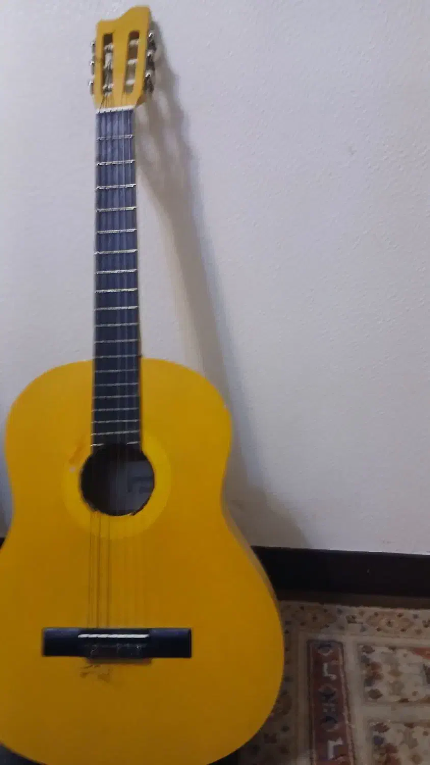 گیتار golden cup|گیتار، بیس، امپلیفایر|شاهین‌شهر, فردوسی|دیوار