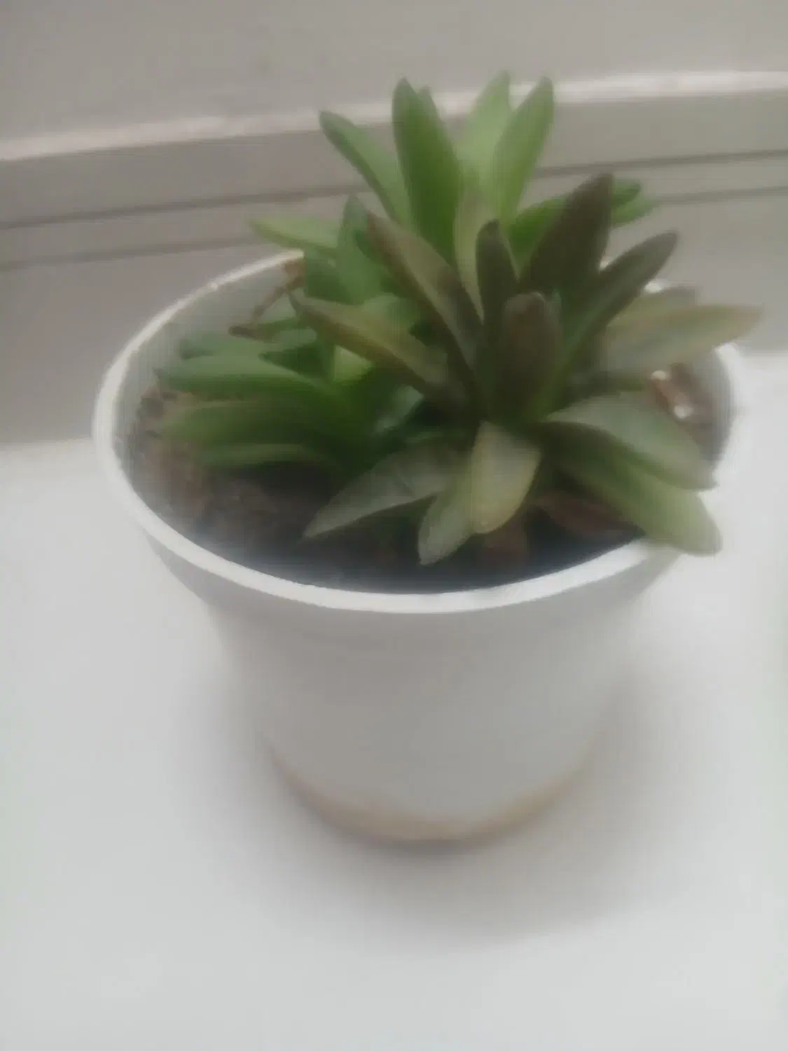 لوازمخانه|صوتی و تصویری|مشهد, اقبال|دیوار