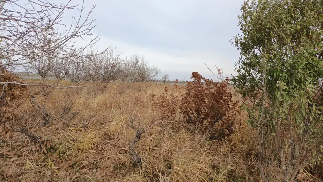 زمین باغی انگور ۶۰۰ متری خوش نقشه|فروش زمین و ملک کلنگی|رباطکریم, منجیل آباد|دیوار