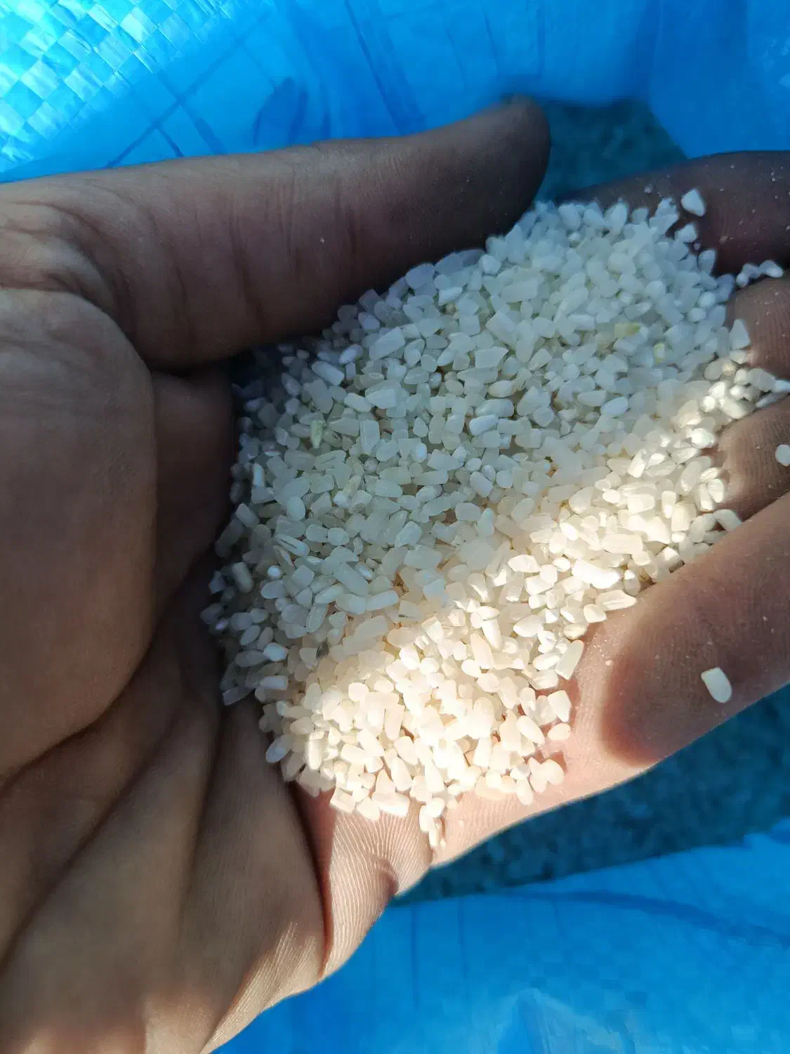 برنج|خوردنی و آشامیدنی|بندر ماهشهر, |دیوار