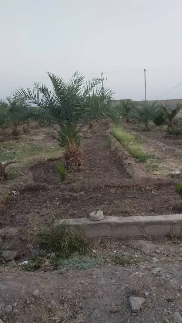 کشاورزی و باغبانی ونگهبانی بم|استخدام سرایداری و نظافت|نرماشیر, |دیوار