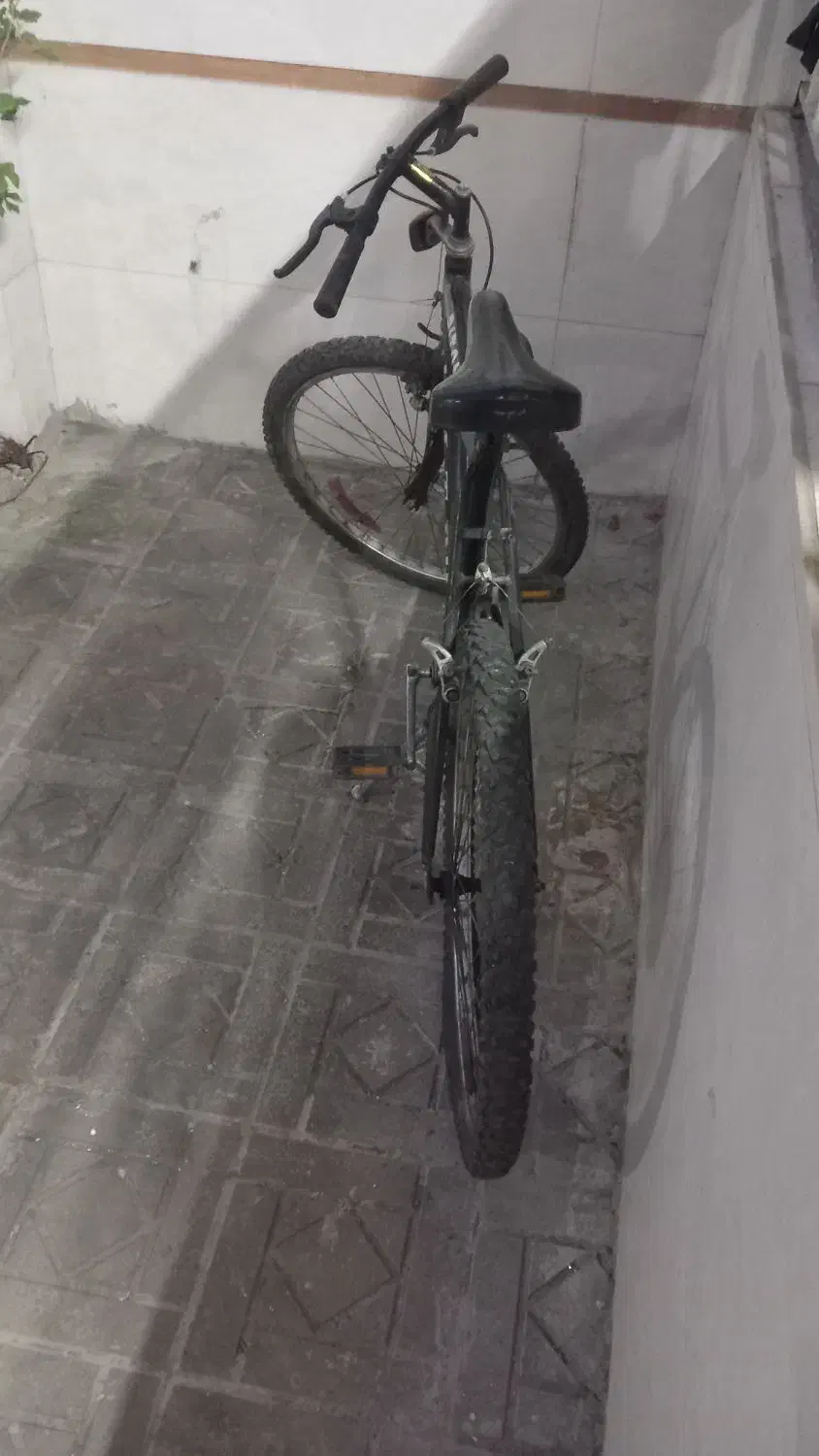 دوچرخه ۲۶|دوچرخه، اسکیت، اسکوتر|لاهیجان, قیام|دیوار