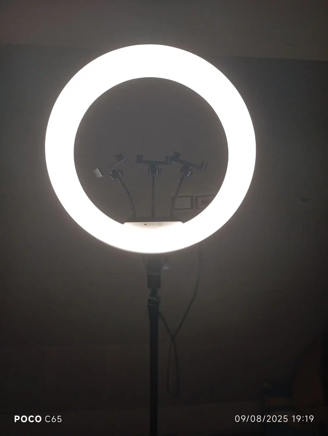 رینگ لایت|دوربین عکاسی و فیلمبرداری|بانه, |دیوار