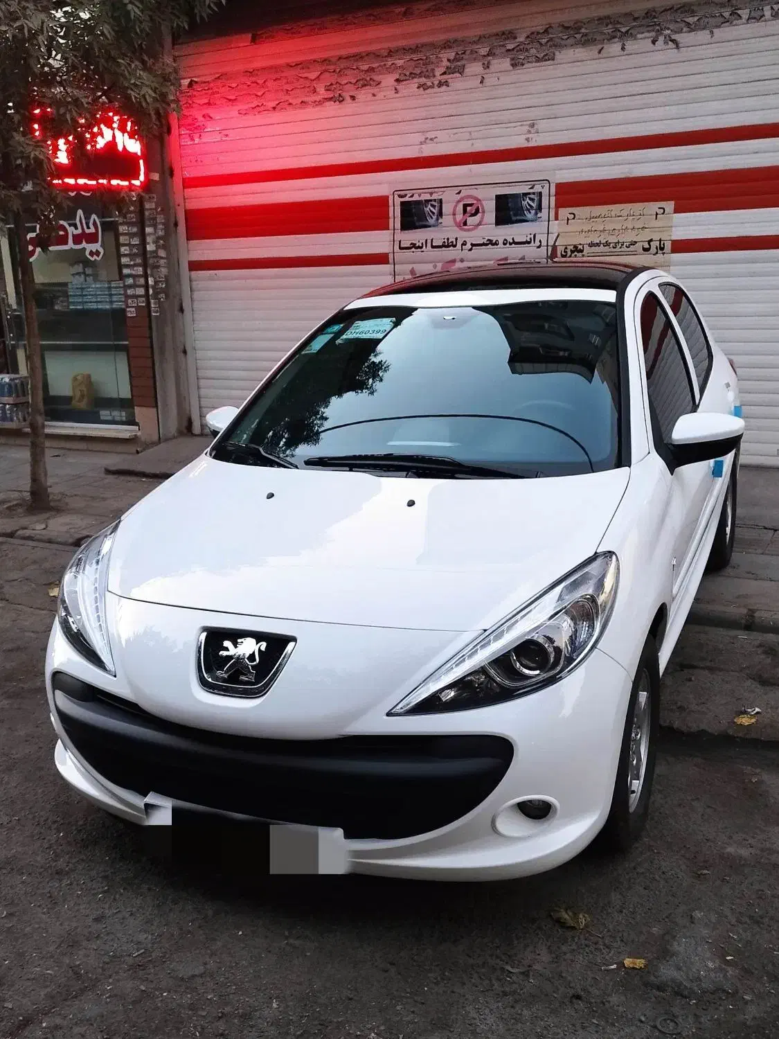 ۲۰۷ پانا ارتقا ۱۴۰۴|خودرو سواری و وانت|تهران, شهرک شریعتی|دیوار