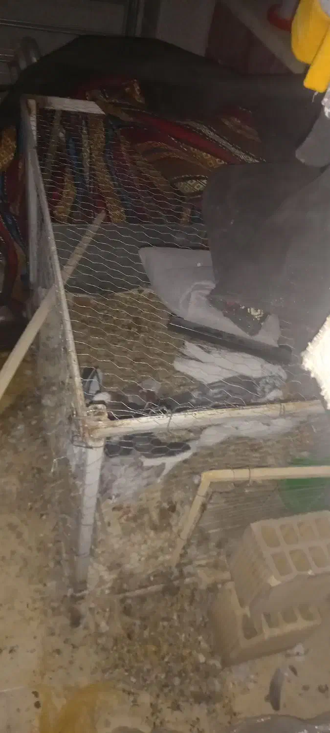 قفس کفتر|لوازم جانبی حیوانات|شاهین‌شهر, گرگاب|دیوار