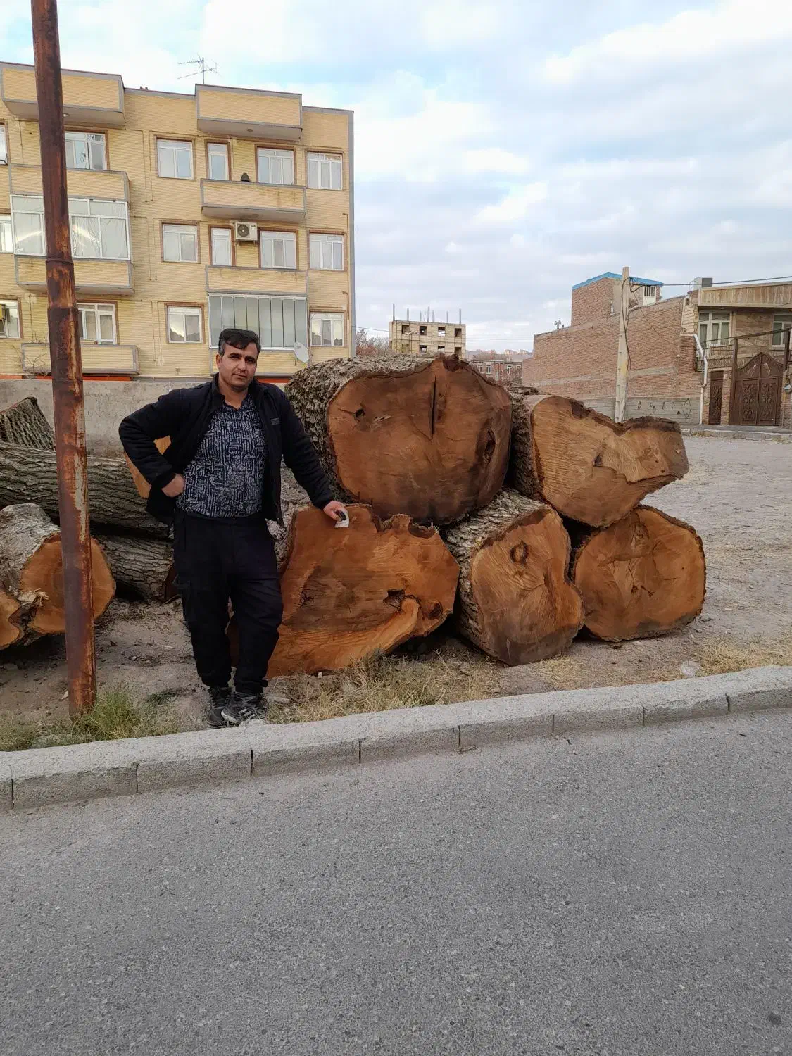 خرید چوب|خدمات باغبانی و درختکاری|مراغه, |دیوار