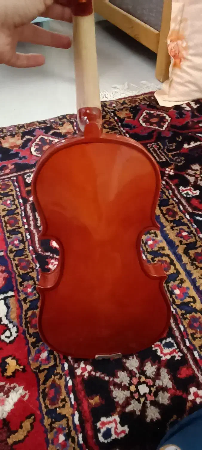 ویلن|ویولن|تبریز, |دیوار