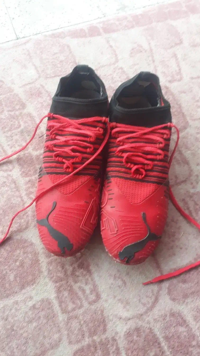 استوک جورابی|کیف، کفش، کمربند|اندیمشک, |دیوار